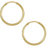 Σκουλαρίκια Κρίκοι από Χρυσό 14 Καρατίων