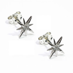 Σκουλαρίκια αστέρι από ασήμι 925 SILVENZA
