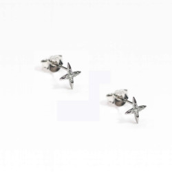 Σκουλαρίκια αστέρι από ασήμι 925 SILVENZA